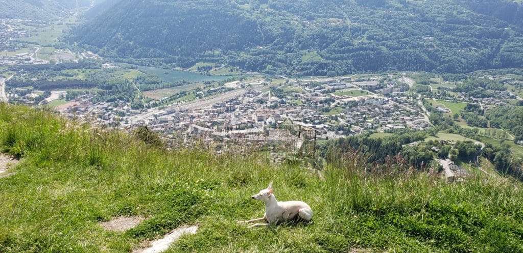 Vue de la Chapelle Saint-Michel