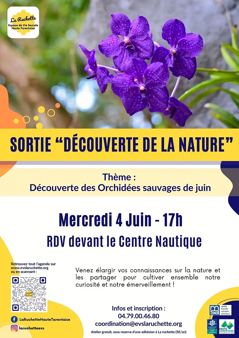 Sortie découverte des Orchidées sauvages